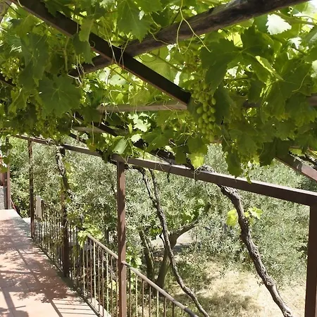 Etna Evergreen Feriehus