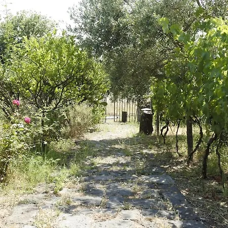 Etna Evergreen Holiday home