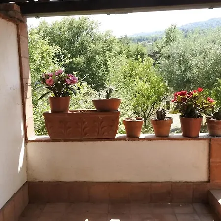 Holiday home Etna Evergreen Piedimonte Etneo