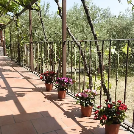 Etna Evergreen Holiday home Piedimonte Etneo