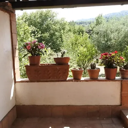 Etna Evergreen Holiday home *