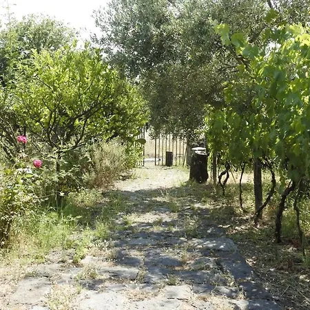 Etna Evergreen Piedimonte Etneo