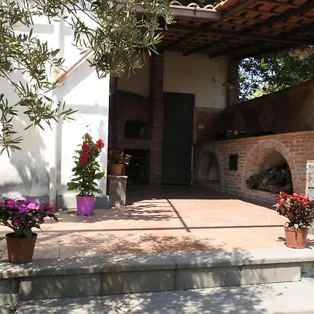 Etna Evergreen * Piedimonte Etneo
