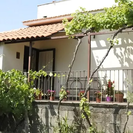 Holiday home Etna Evergreen