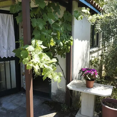 Holiday home Etna Evergreen Piedimonte Etneo