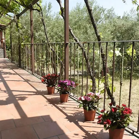 Etna Evergreen Holiday home *